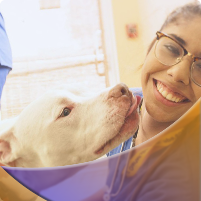 Eurovets Veterinary