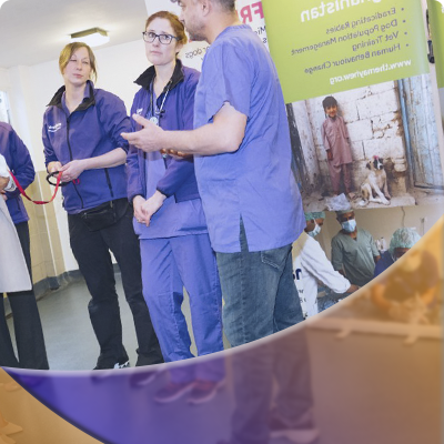 Vet training in Dubai