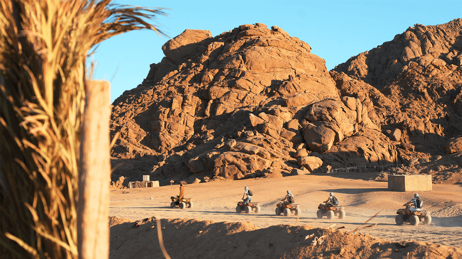 Quad Bike Safari
